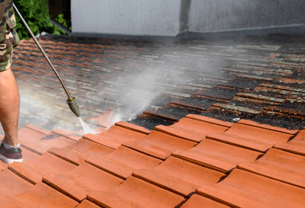 Best Pressure Washing Patio  in West Park, FL