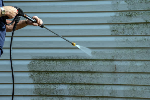 Best Roof Power Washing Services  in West Park, FL