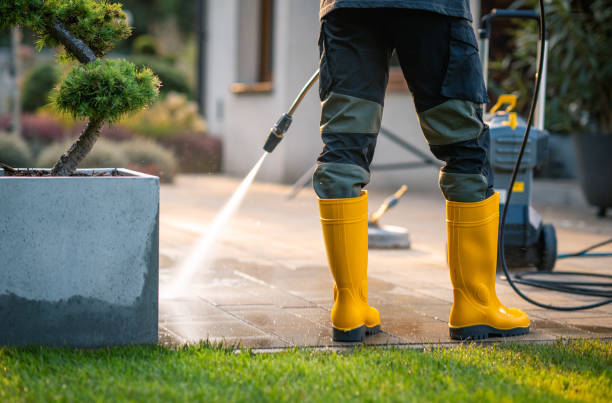 Local Pressure Washing Services in West Park, FL